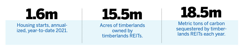 Timber Sector Stats